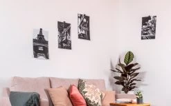 Silwy® Flex Magnethaken Inkl. Metall-Nano-Gel-Pads 5 Cm 8-tlg. Blau -Campinggeschirr Verkäufe 336857 2526568 1