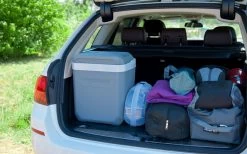 Campingaz Powerbox Plus Thermoelektrische Kühlbox 12 V 24 Liter -Campinggeschirr Verkäufe 411630 3019793