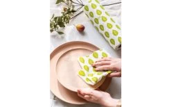 Nuts Innovations Bambus Papierrolle 40 Blatt -Campinggeschirr Verkäufe 427764 3063029