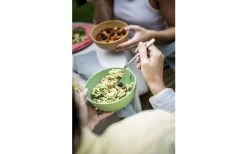 Koziol Club Geschirr-Set 16-tlg. Grün -Campinggeschirr Verkäufe 446693 3144593